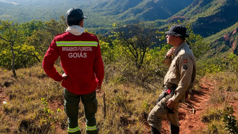 Incêndio que castigou o nordeste de Goiás chega ao fim após oito dias; veja área queimada