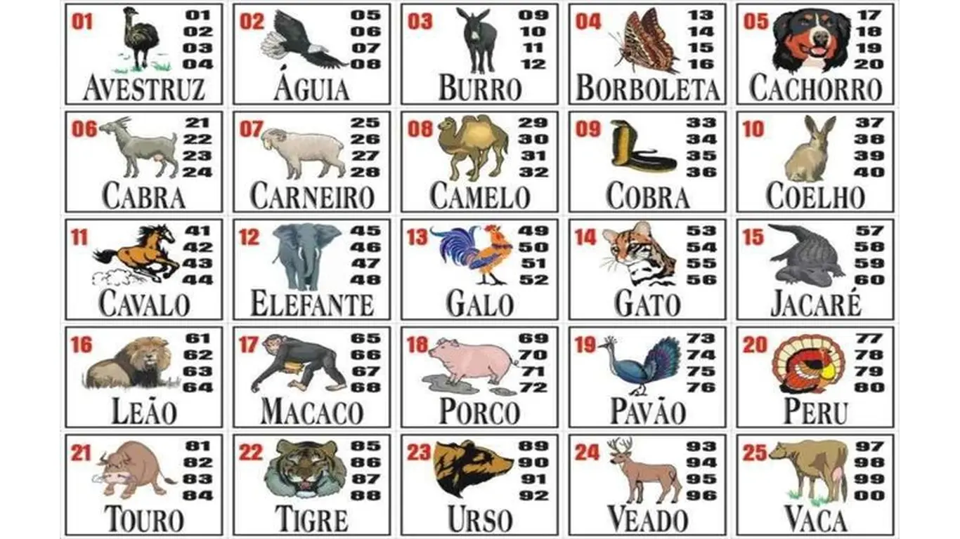 Jogo do bicho perde espaço em Goiânia para bets e Tigrinho
