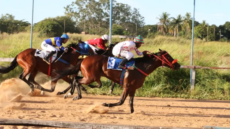 Jóquei de Goiás recupera carta-patente e mira corridas em agosto