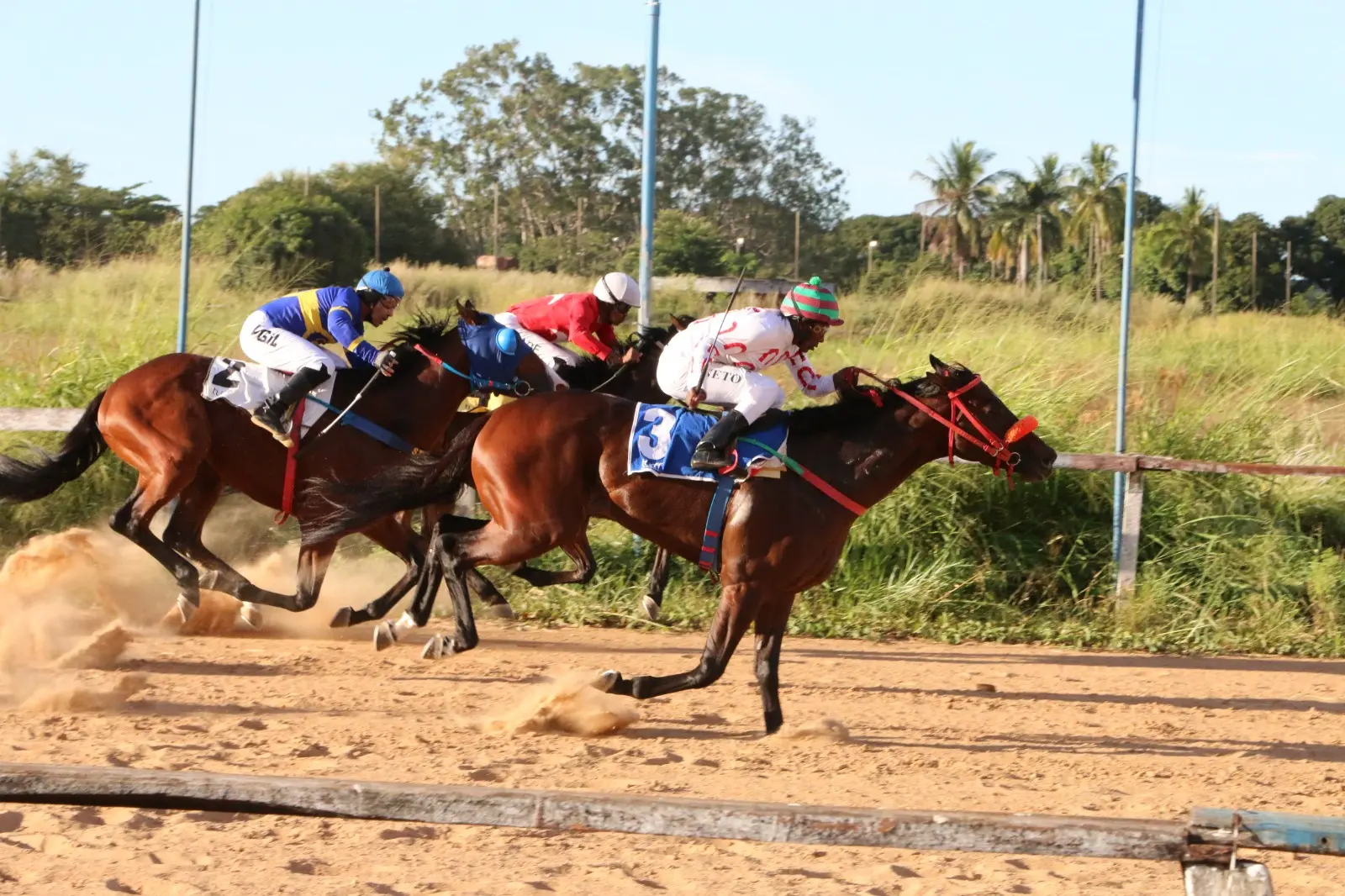 Jóquei de Goiás recupera carta-patente e mira corridas em agosto
