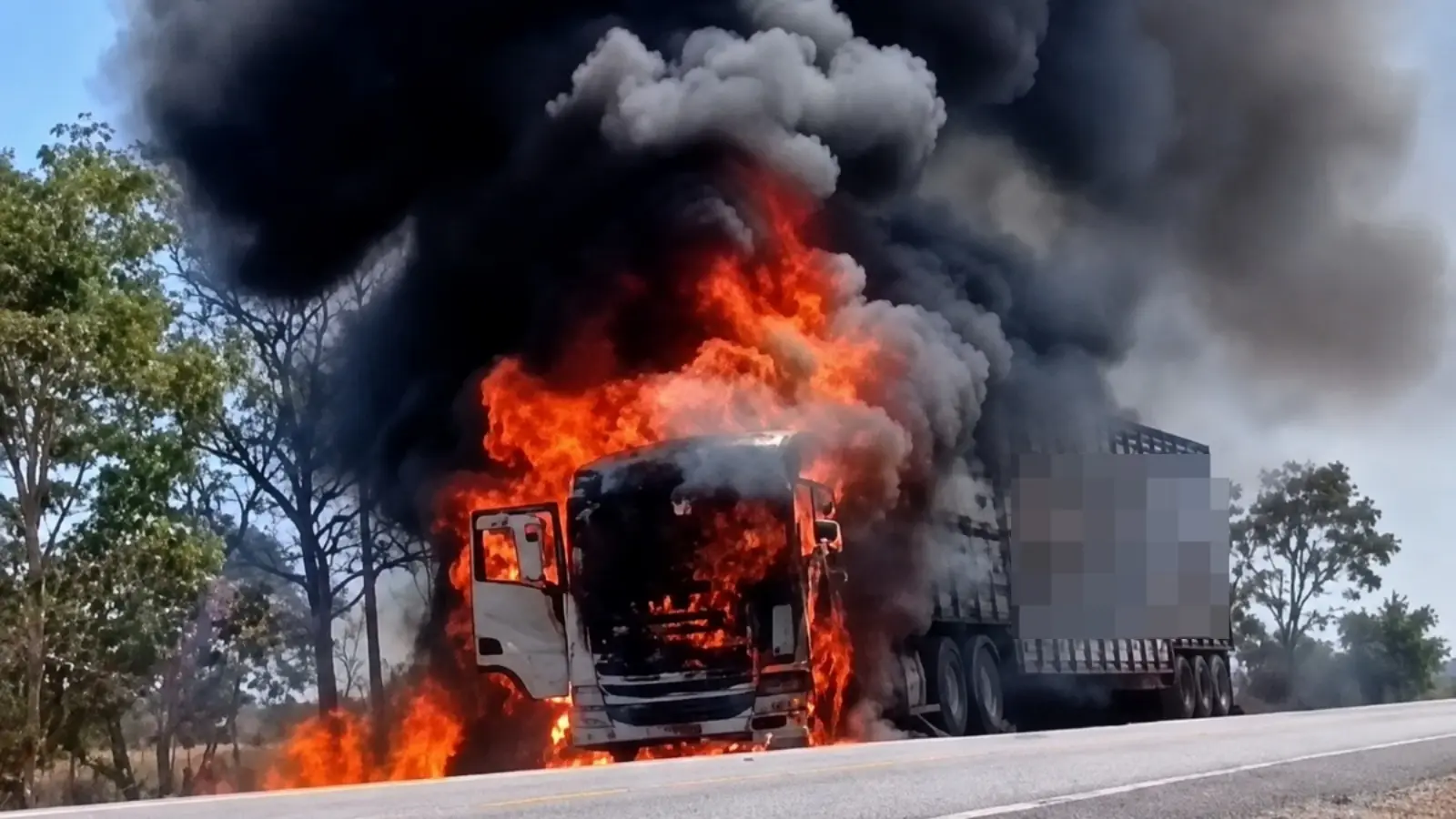 Motorista salva 64 bois após carreta pegar fogo na GO-118, em Monte Alegre de Goiás