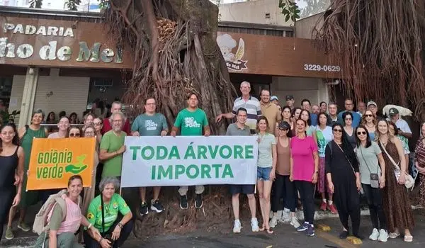 Protesto tenta barrar retirada de gameleiras em Goiânia