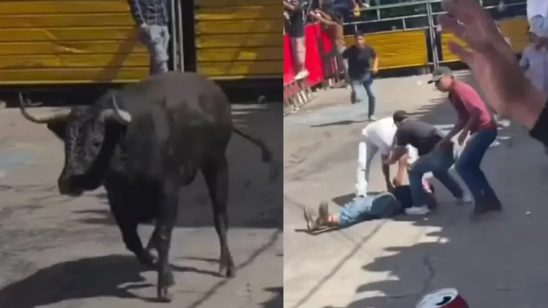 homem morre chifrado dilacerado por touro; vídeo