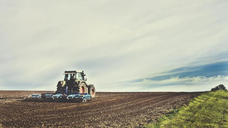 previsão ruim para o agro e boa para o varejo