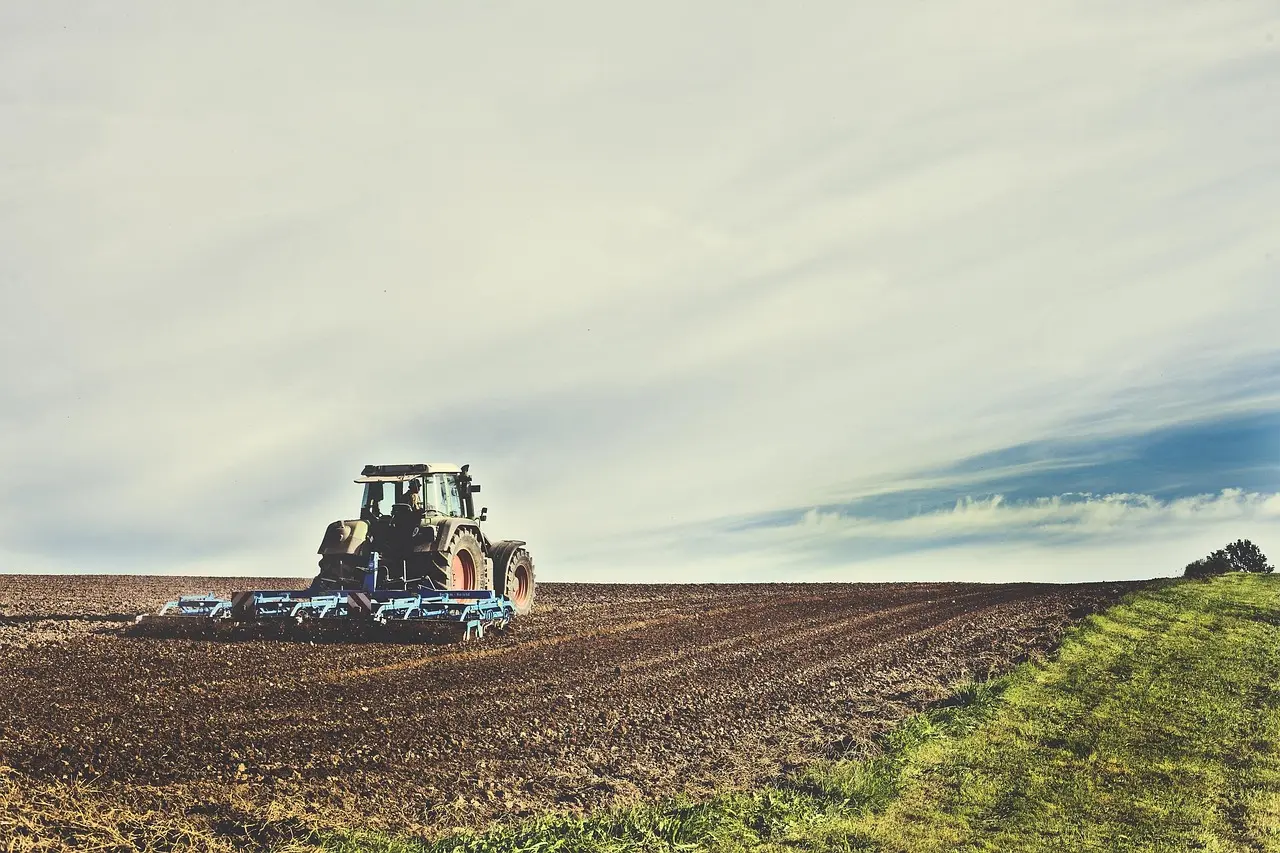 previsão ruim para o agro e boa para o varejo