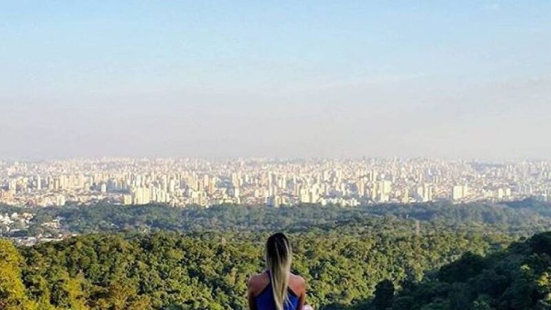 Estudo aponta que áreas verdes fora de São Paulo podem ajudar a reduzir o calor na cidade