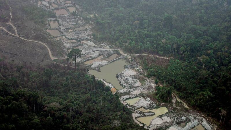 MPF investiga a plataforma eBay por comércio ilegal a garimpeiros na Amazônia
