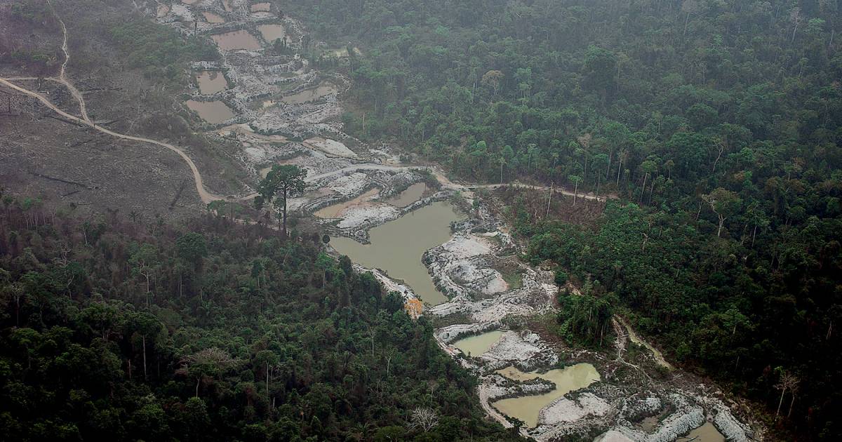 MPF investiga a plataforma eBay por comércio ilegal a garimpeiros na Amazônia