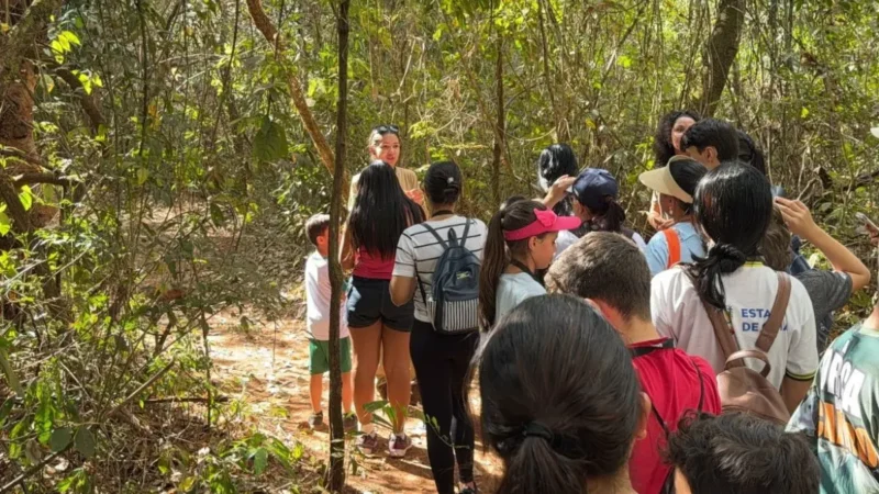 Estudantes autistas fazem trilha e aprendem sobre animais do Cerrado em parque estadual de Goiás