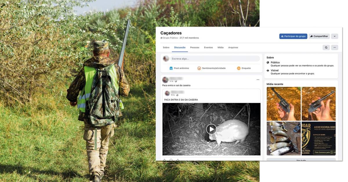 Proibida no país, ‘caça esportiva’ reúne milhares de adeptos em comunidades nas redes