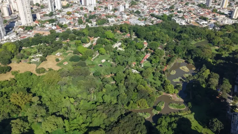 Goiânia é cidade de passagem para 1 em cada 3 visitantes