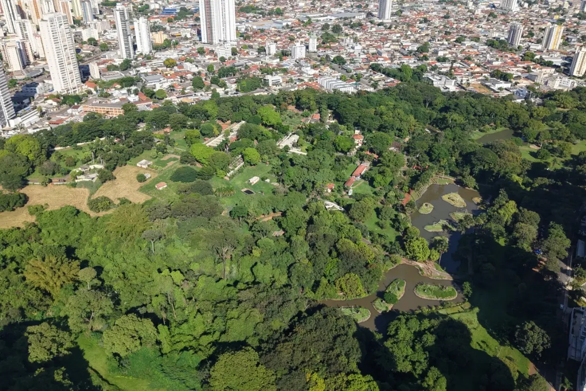 Goiânia é cidade de passagem para 1 em cada 3 visitantes