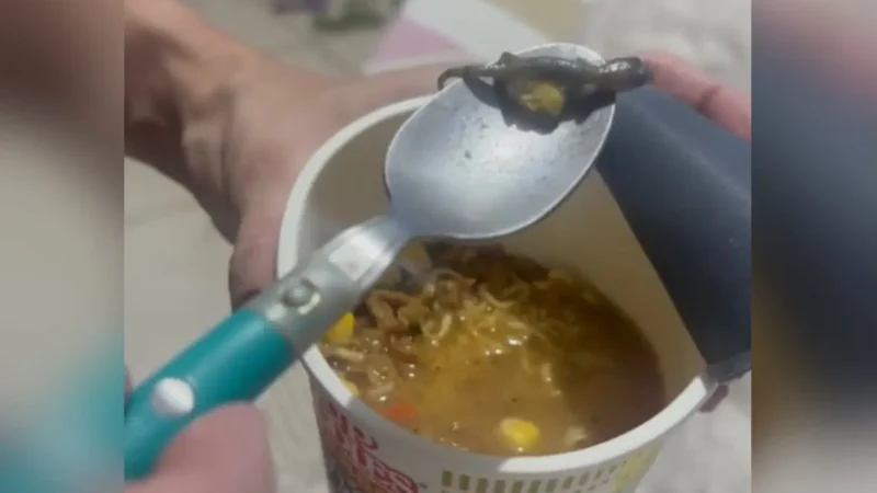 Mulher será indenizada após encontar animal em macarrão