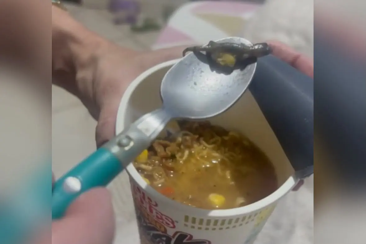 Mulher será indenizada após encontar animal em macarrão